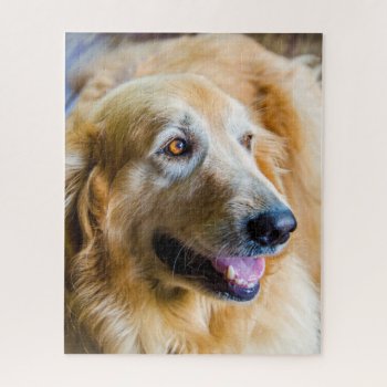 Golden Retriever Jigsaw Puzzle by LivingLife at Zazzle