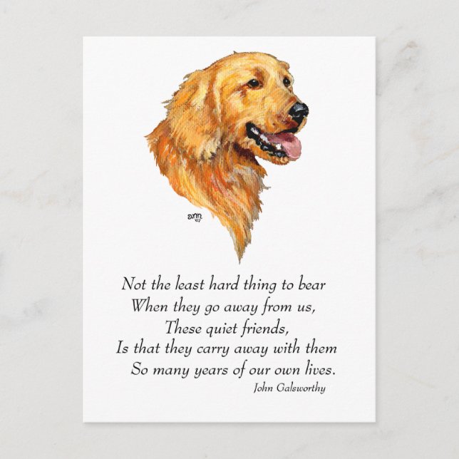 Golden Retriever Keepsake Postcard (Front)