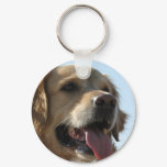 Golden Retriever Keychain