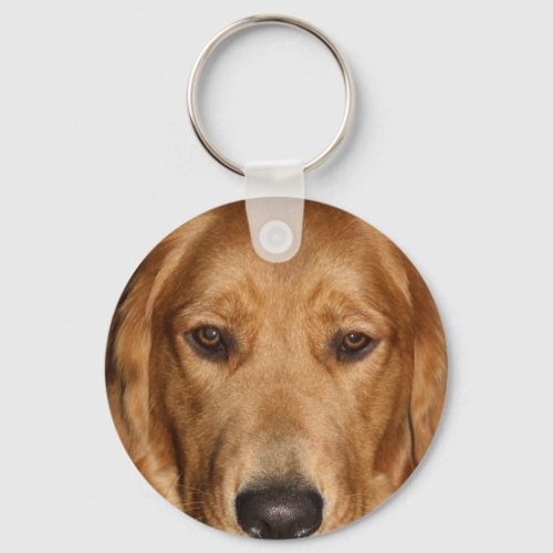 Golden retriever keychain