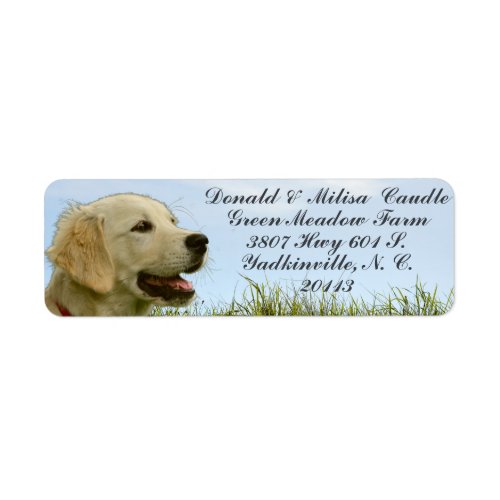  GOLDEN RETRIEVER LABEL