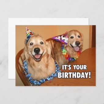 Golden Retriever Let's Party Birthday Invitation Postcard | Zazzle