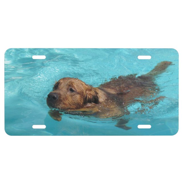 Golden Retriever License Plate (Front)
