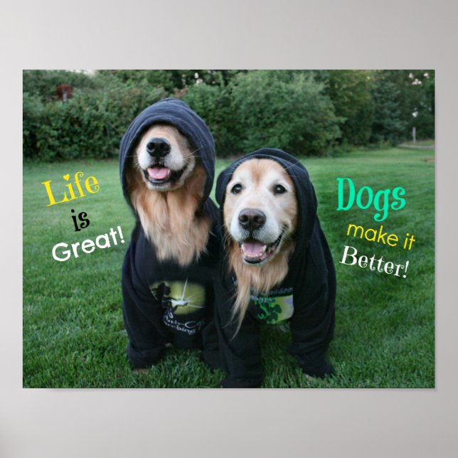Golden Retriever Life is Great Poster (Front)