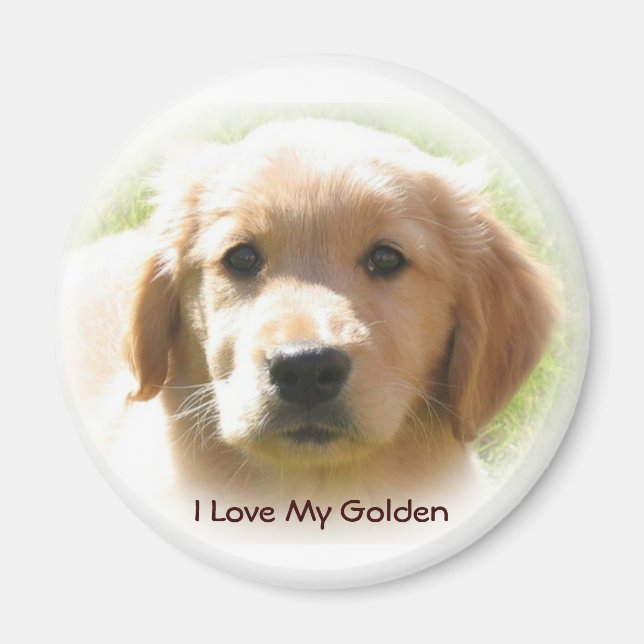 Golden Retriever Love Magnet (Front)