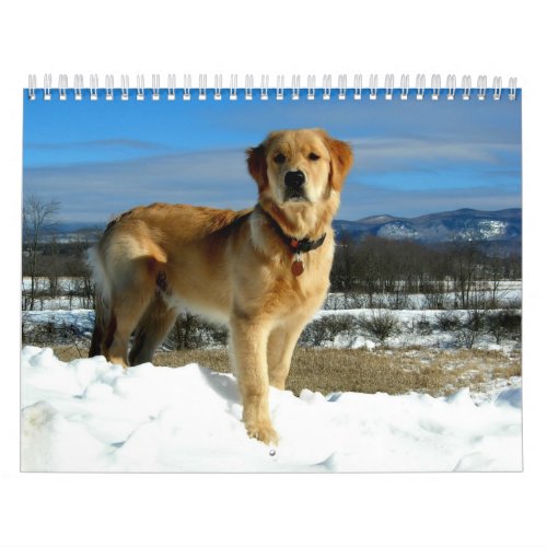 Golden Retriever Lovers Calendar