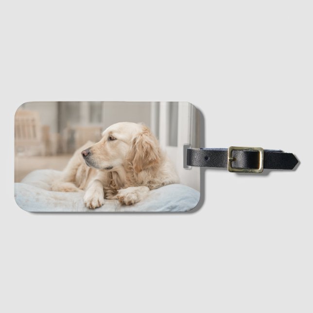 Golden Retriever Luggage Tag (Front Horizontal)