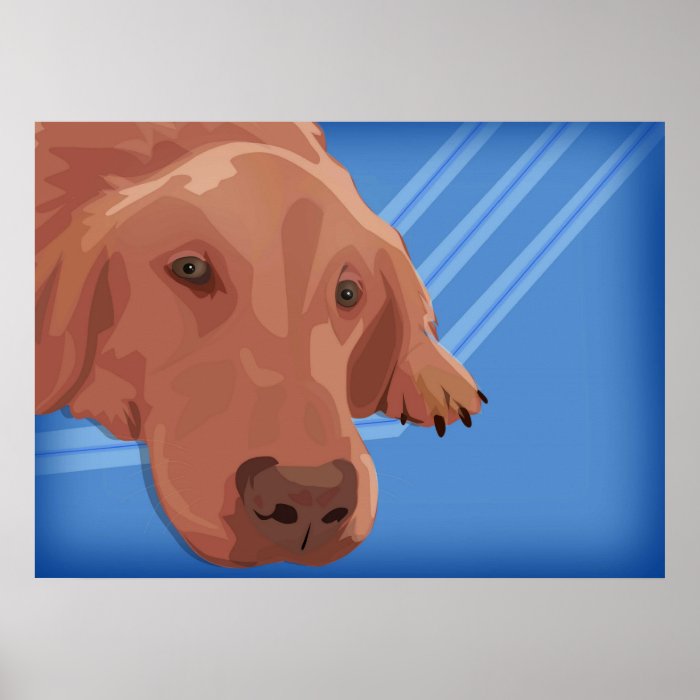 Golden Retriever Lying, Blue Background Poster