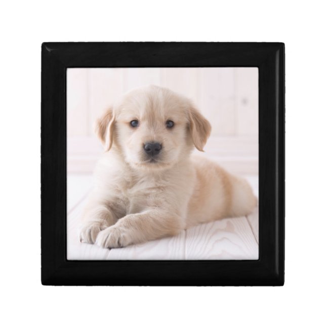 Golden Retriever Lying Down Jewelry Box (Front)