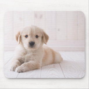 Golden Retriever Lying Down Mouse Pad