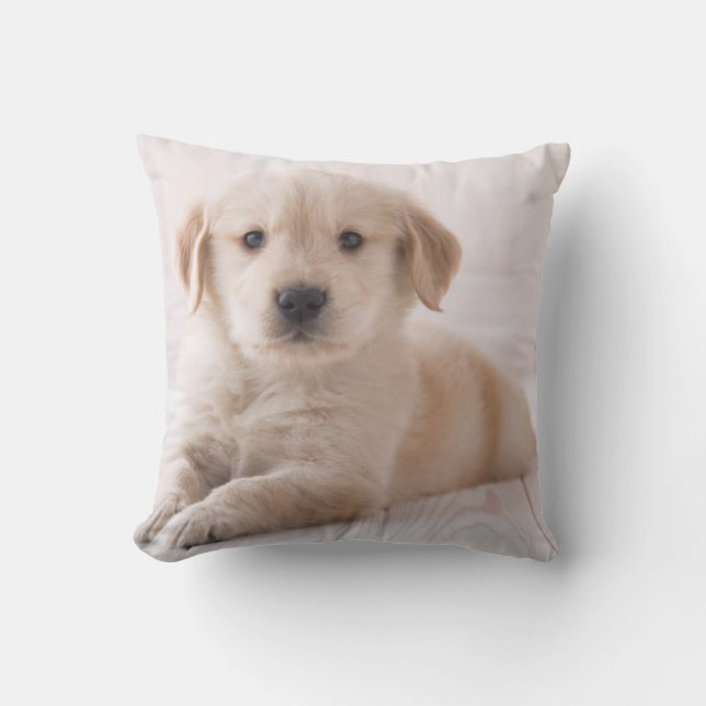 Golden Retriever Lying Down Throw Pillow (Front)