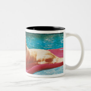 Golden Retriever Lying on an Air Bed in a Two-Tone Coffee Mug