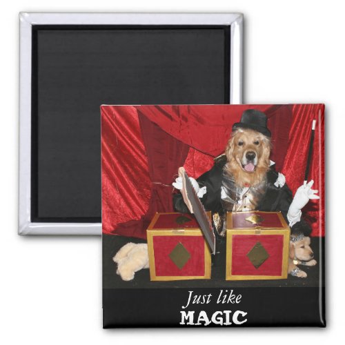 Golden Retriever Magic Show Magnet