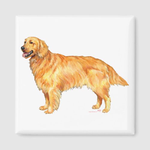 Golden Retriever Magnet