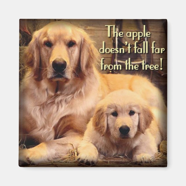 Golden Retriever Magnet (Front)