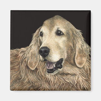 Golden Retriever Magnet - "Bear"