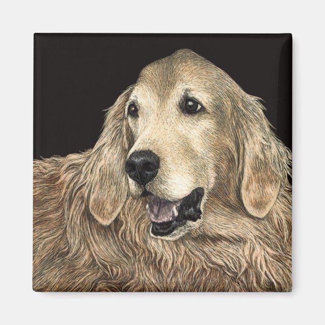 Golden Retriever Magnet - "Bear" (Front)