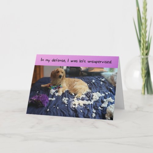 Golden Retriever Makes a Mess Funny Birthday
