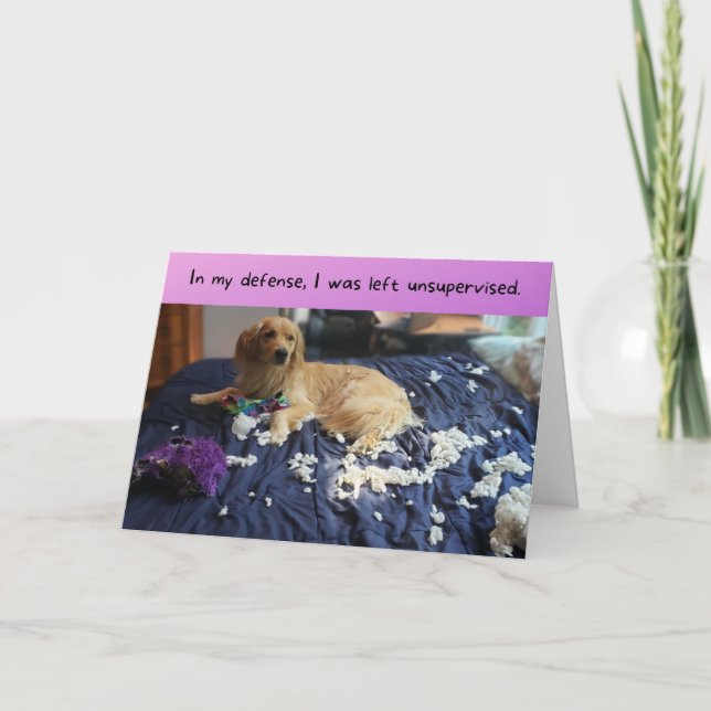 Golden Retriever Makes a Mess Funny Birthday Card (Front)