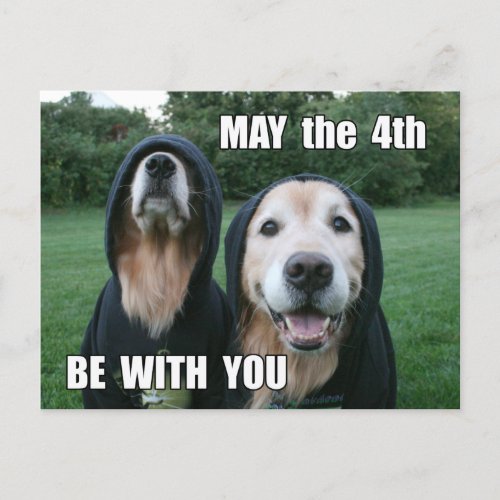 Golden Retriever May the 4th Be With You Parody Postcard
