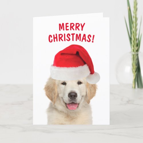 Golden Retriever Merry Christmas Holiday Card