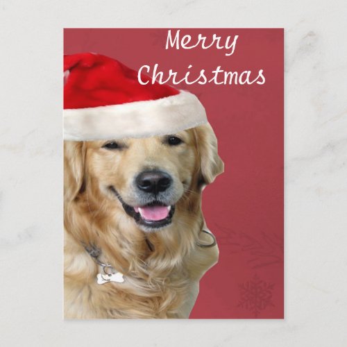 Golden Retriever Merry Christmas Holiday Postcard