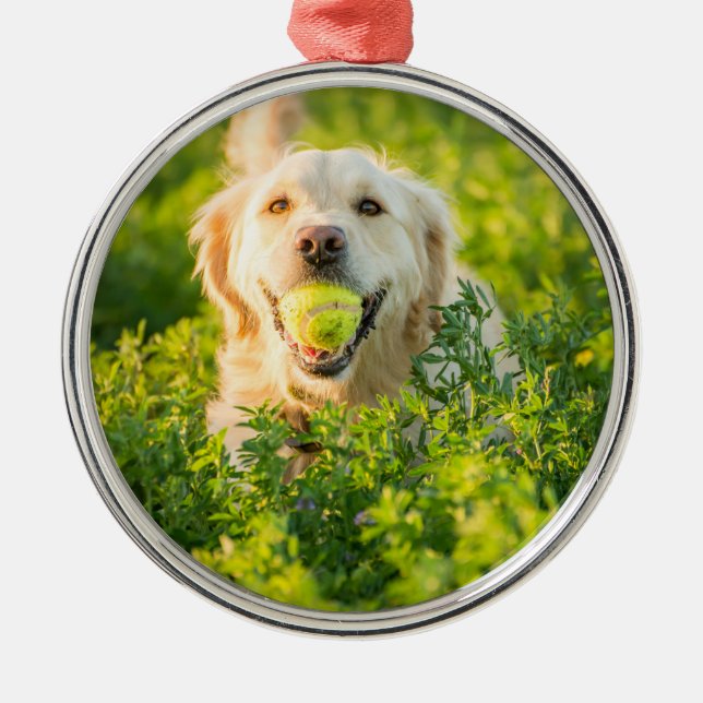 Golden Retriever Metal Ornament (Front)