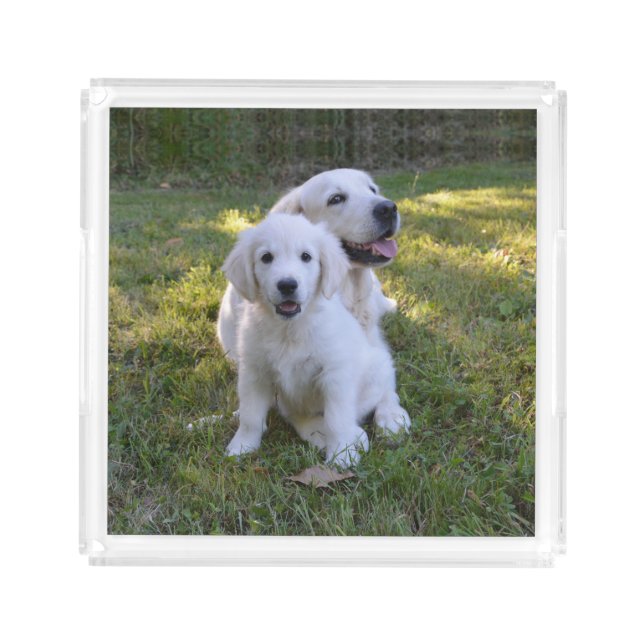 Golden Retriever Mom and Puppy Acrylic Tray (Front)