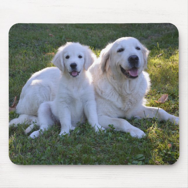 Golden Retriever Mom and Puppy Mouse Pad (Front)