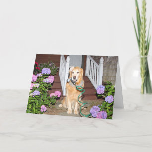 Golden Retriever Mother’s Day Garden Holiday Card