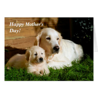 Mothers Day Golden Retriever Cards | Zazzle