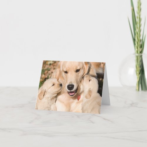 Golden Retriever Mothers Day Note Card