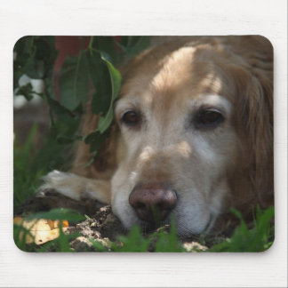 Golden Retriever Mouse Pad