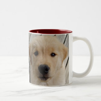Golden retriever MUG pup