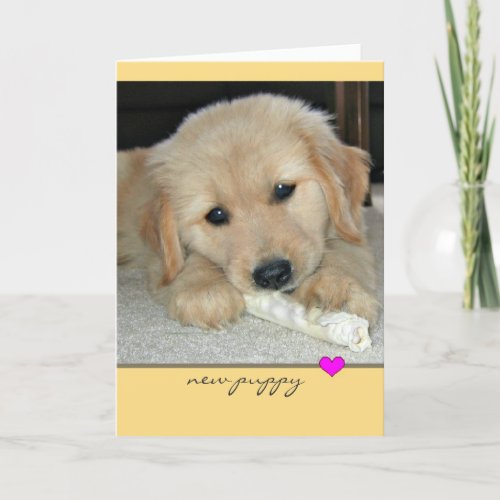 Golden Retriever New Puppy Greeting Card