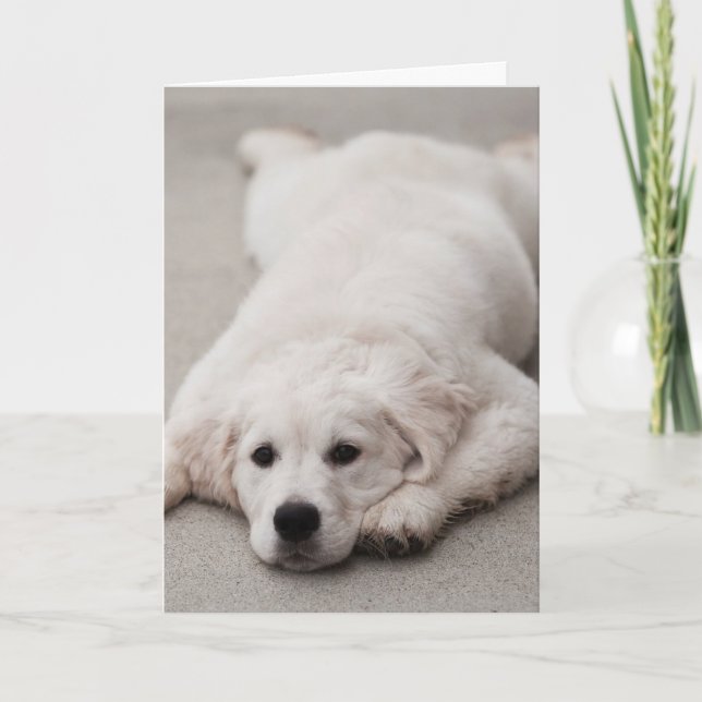 Golden Retriever Note card (Front)