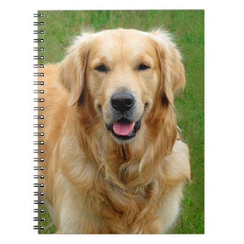 Golden Retriever Notebook