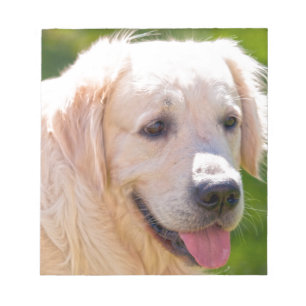 Golden Retriever Notepad