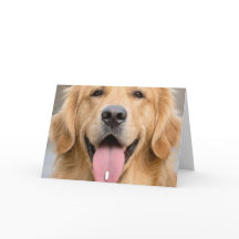 Golden Retriever Old Age Birthday Humor