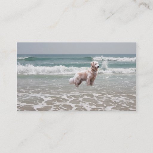Customizable Golden Retriever On Beach Breeder Business Card