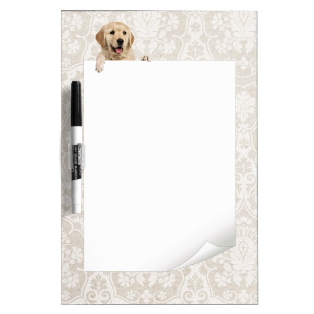 Golden Retriever on Damask Dry Erase Board (Front)