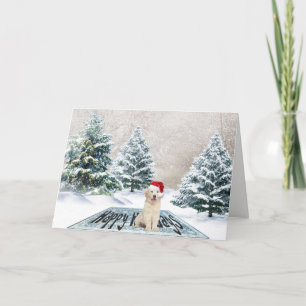 Golden Retriever on Holiday Rug Card