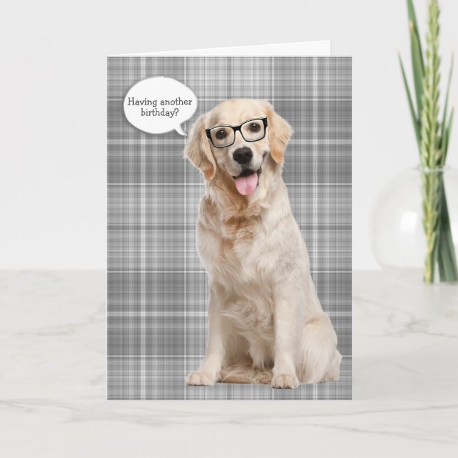 Golden Retriever on plaid birthday humor Card (Front)