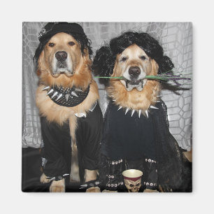 Golden Retriever On the Goth Side Magnet