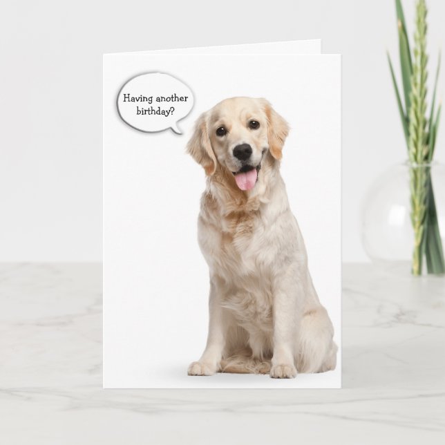 Golden Retriever on white birthday Card (Front)