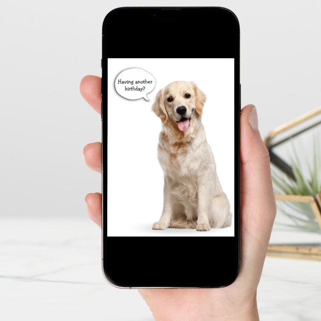 Golden Retriever on white birthday Card (Front Digital)