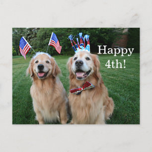 Golden Retriever Outdoor Independence Day Postcard
