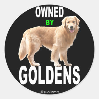 Golden Retriever 'Owned By Goldens' black sticker