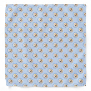 Golden Retriever Painting - Cute Original Dog Art Bandana