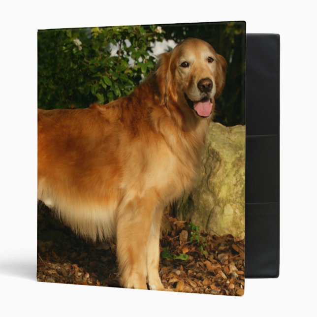 Golden Retriever Panting Binder (Front/Inside)